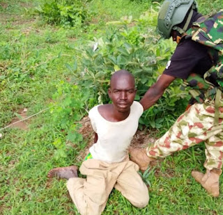 OPERATION HADIN KAI TROOPS APPREHEND ANOTHER  FOREIGN TERRORIST FIGHTER, ILLEGAL IMMIGRANT IN BORNO