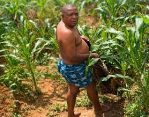 UNIZIK Denies Alleged Randy Lecturer Caught Pants Down