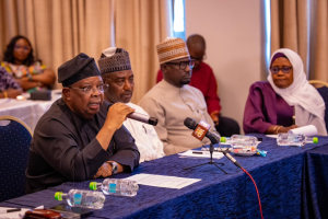 NO TO TARIFF INCREASE FOR NOW, AS FG RESTATES COMMITMENT TO IMPROVE ELECTRICITY SUPPLY