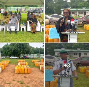 Customs Auctions 20,500 Litres of Seized Petrol, Warns Smugglers of Tougher Crackdown