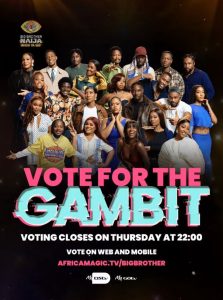 BBNaija Season 11 Voting Guide: How to Register, Vote and Earn Bonus Votes