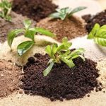 FG Saves ₦61.58bn Through Local Fertiliser Production, Intensifies Nationwide Plant Inspection