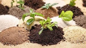 FG Saves ₦61.58bn Through Local Fertiliser Production, Intensifies Nationwide Plant Inspection