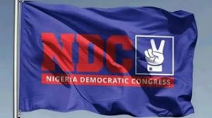 NDC Accuses INEC Of Replacing It’s Candidates With Unknown Names