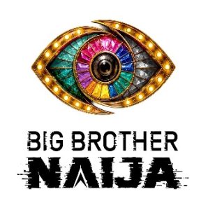 BBNaija: What the Numbers Really Say