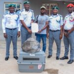 Customs FOU Zone ‘A’ Intercepts Three Live Pangolins, Foils Wildlife Trafficking Attempt