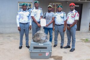 Customs FOU Zone ‘A’ Intercepts Three Live Pangolins, Foils Wildlife Trafficking Attempt